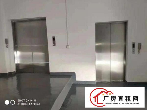  凤岗镇凤深大道旁新出红本独院厂房10000平厂房出租