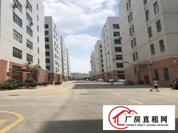  凤岗镇金凤凰工业区楼上2000平方全新厂房出租