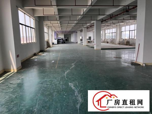  凤岗镇金凤凰工业区楼上2000平方全新厂房出租