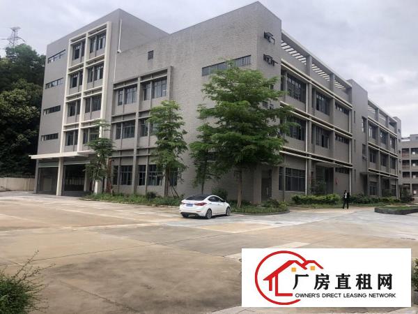  出租凤岗镇五联村新出红本独院20900平方米