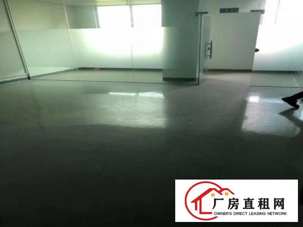  凤岗金凤凰3平方厂房出租，200平方分租