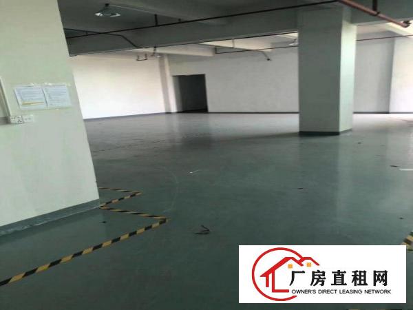  凤岗金凤凰3平方厂房出租，200平方分租
