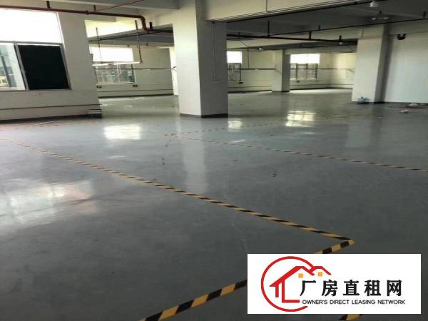  凤岗金凤凰3平方厂房出租，200平方分租