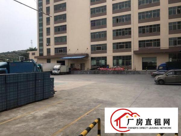  凤岗碧湖大道边新出一手房东物流仓储2450平带卸货平台出租