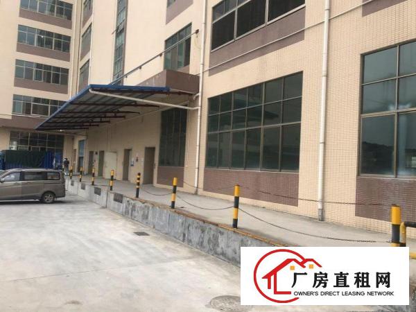  凤岗碧湖大道边新出一手房东物流仓储2450平带卸货平台出租
