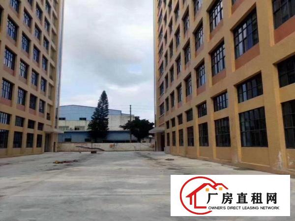  凤岗镇原房东全新重工业厂房底价招租