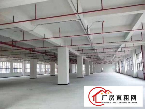  凤岗镇原房东全新重工业厂房底价招租