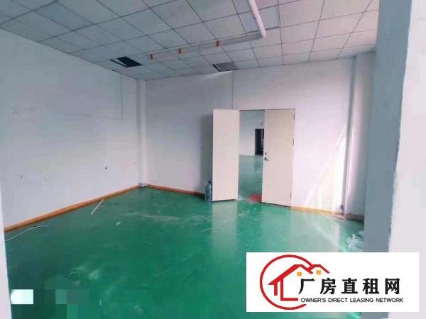  金凤凰500平方小面积厂房