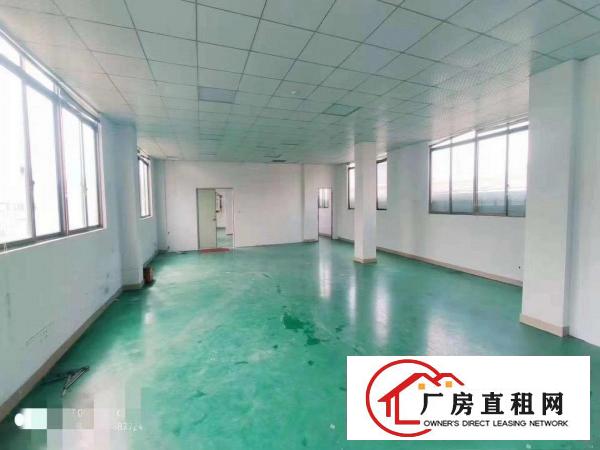  金凤凰500平方小面积厂房