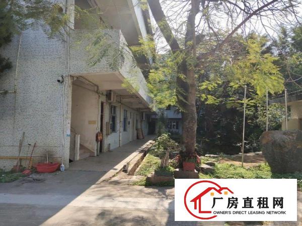 凤岗镇原房东独院钢构7500