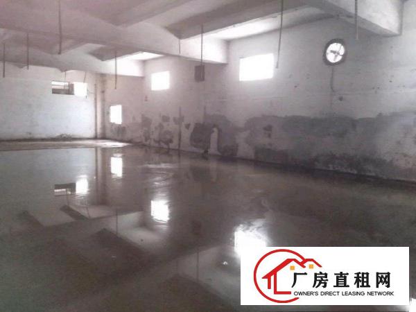  原房东一楼，0公摊，实用面积出租