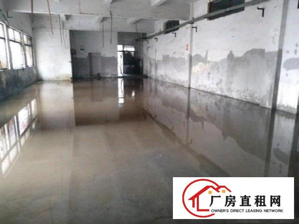  原房东一楼，0公摊，实用面积出租