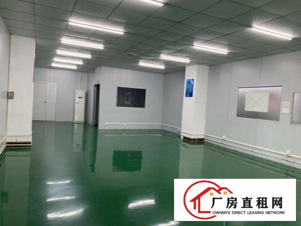  凤岗镇新出原房东二楼无尘车间，适合做口罩，可分租，
