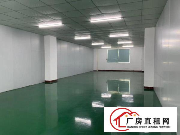  凤岗镇新出原房东二楼无尘车间，适合做口罩，可分租，