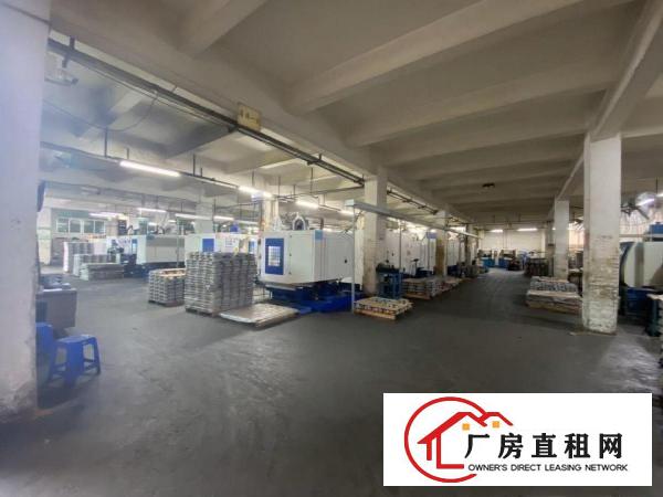  凤岗雁田10高钢构厂房