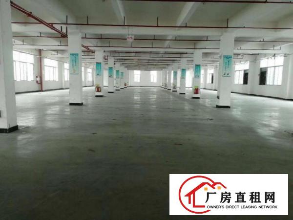  凤岗花园式独门独院厂房出租可分租