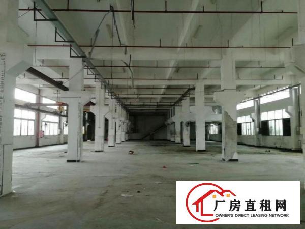  凤岗花园式独门独院厂房出租可分租