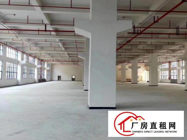  全新村委红本厂房出租