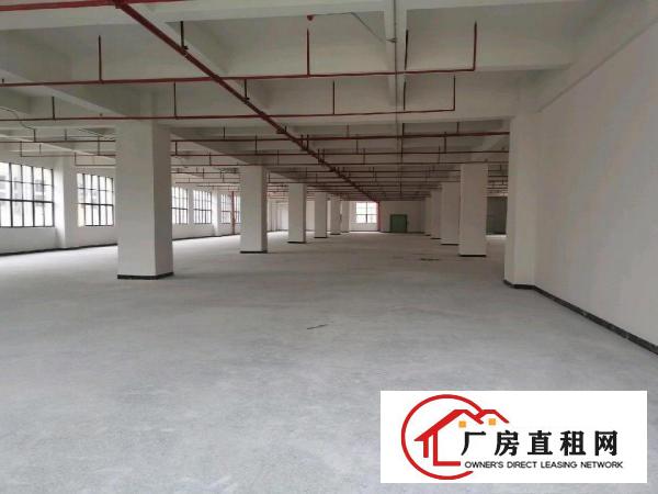  全新村委红本厂房出租