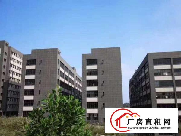  凤岗镇五联红本全新厂房800平方分租