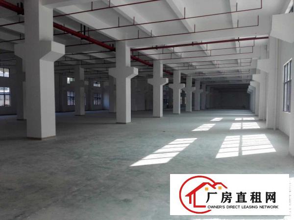  凤岗厂房一楼2400平米出租