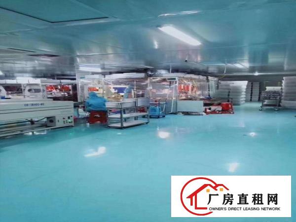  口罩、高精度电子看中可拎包入住