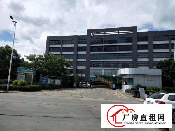  口罩、高精度电子看中可拎包入住