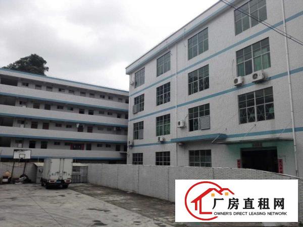  业主厂房出租可分租500---2500平方