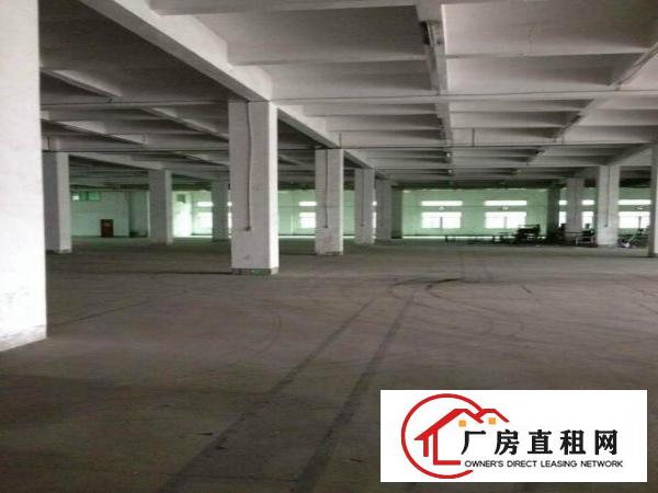  凤岗五联花园式3层厂房出租（每层500平米）