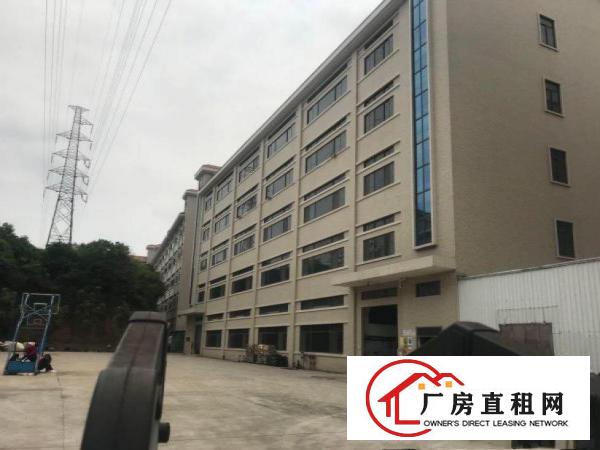  凤岗镇竹尾田工业区标准一楼800平方精装修厂房出租