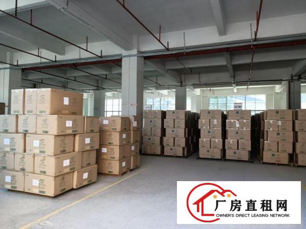  东莞凤岗冻库电商物流仓库电子厂房出租2万平可分层出租