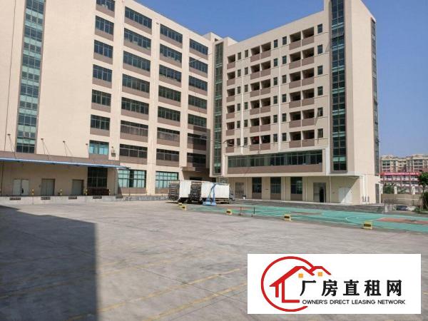  东莞凤岗冻库电商物流仓库电子厂房出租2万平可分层出租