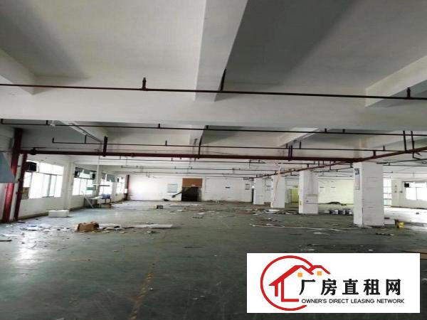  东莞市凤岗镇官井头工业区