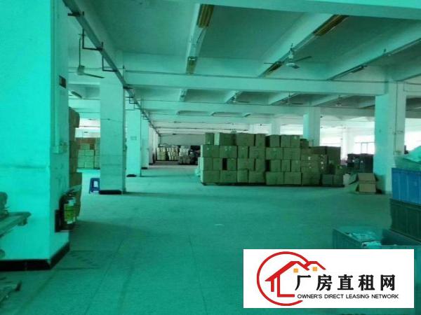  凤岗独院厂房出租可分租
