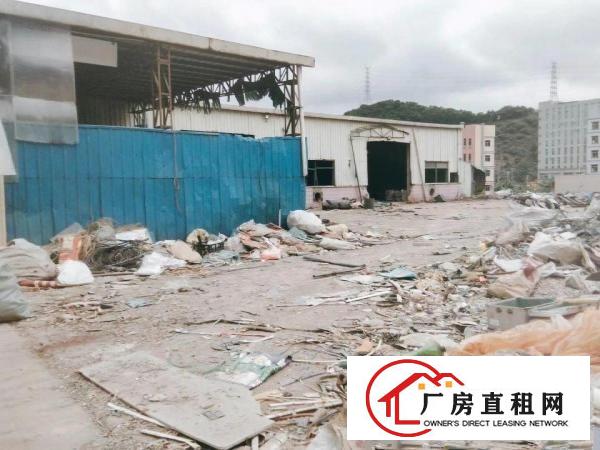  凤岗一个不限制行业的独院钢构