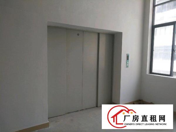  凤岗镇国有证全新厂房形象好