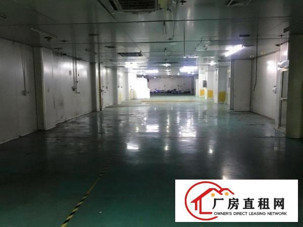  凤岗镇碧湖大道原房东大型工业园无尘车间2100平方
