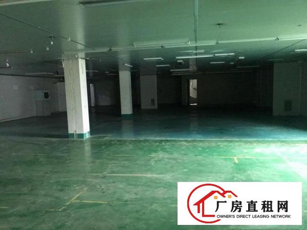  凤岗镇碧湖大道原房东大型工业园无尘车间2100平方