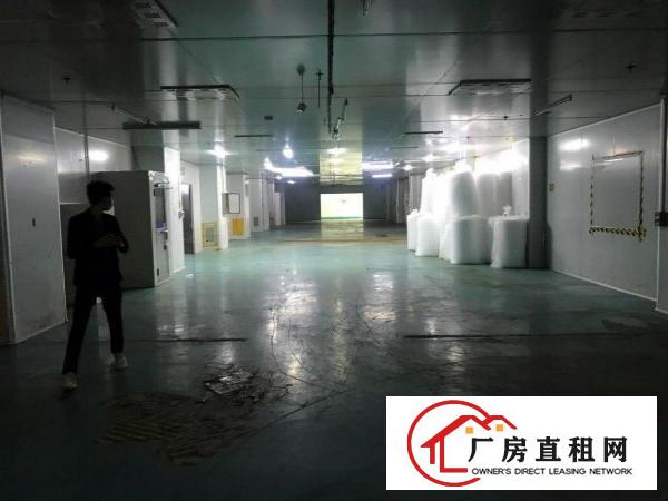 凤岗镇碧湖大道原房东大型工业园无尘车间2100平方