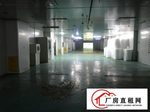  凤岗镇碧湖大道原房东大型工业园无尘车间2100平方