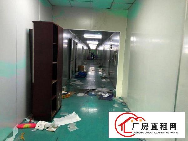  凤岗镇碧湖大道原房东大型工业园无尘车间2100平方