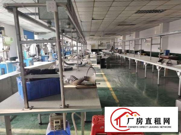  出租凤岗镇黄洞工业区楼上1300带豪华精装修