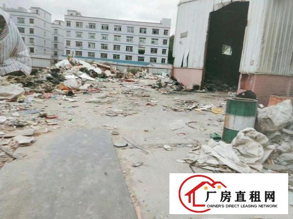  凤岗工业区新出5200平钢构
