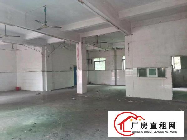  标准厂房出租有牛角水电齐全简装