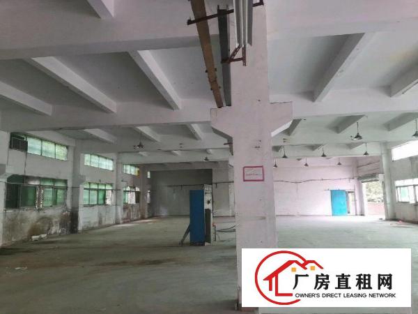  标准厂房出租有牛角水电齐全简装
