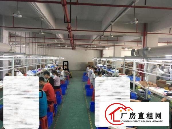  凤岗天堂围水电齐全厂房出租800平精装修办公室
