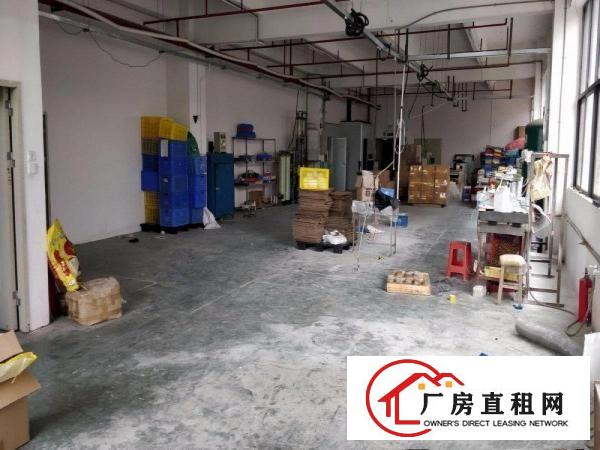  凤岗金凤凰小独门独院厂房出租2000平塑胶玩具五金