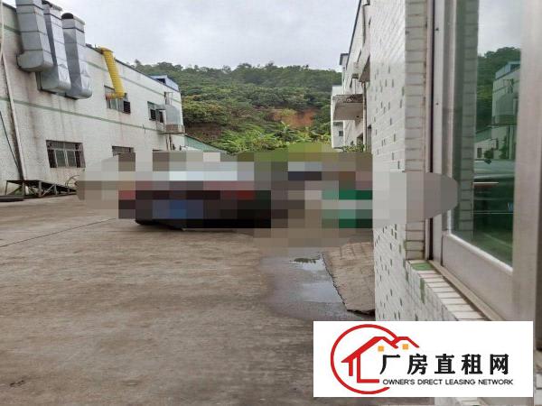 凤岗金凤凰小独门独院厂房出租2000平塑胶玩具五金