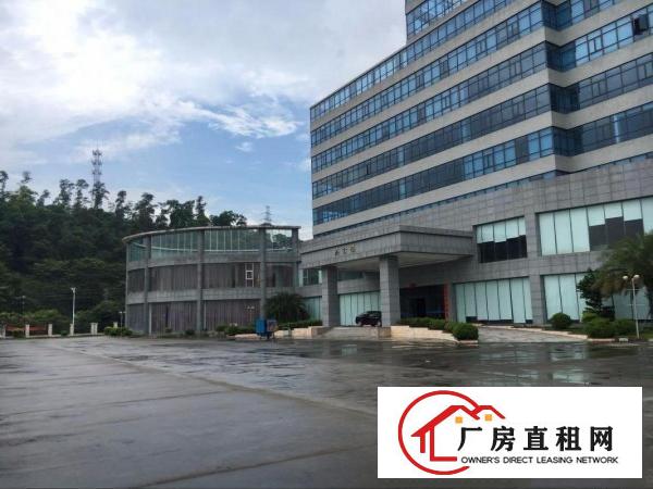  凤岗碧湖工业区带装修电子装配厂房出租1000