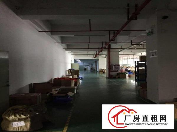  凤岗雁田怡安附近精装修厂房出租1140平水电齐全